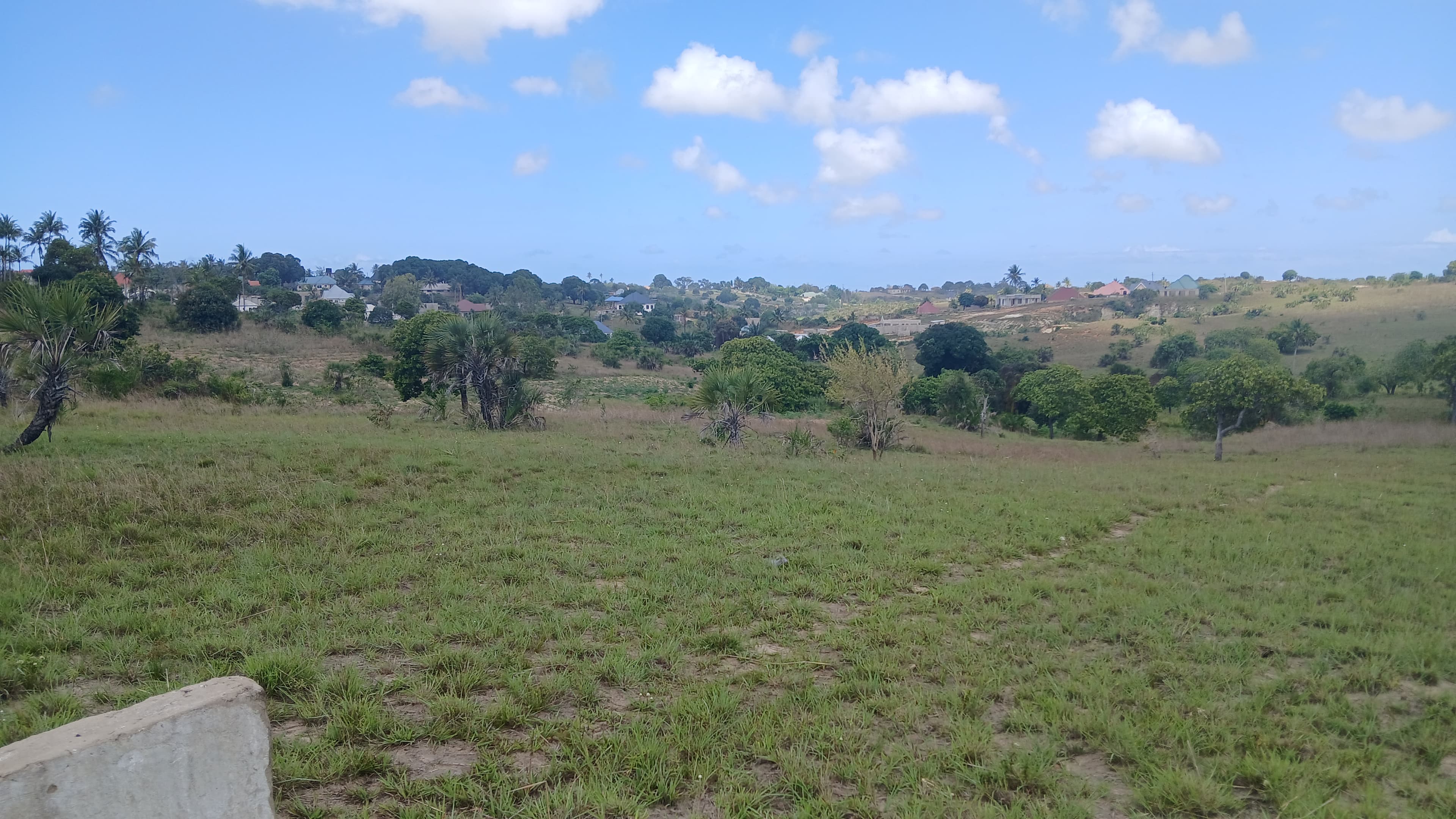 3-Acre Multi-Purpose Land for Sale in Pemba Mnazi – Ideal for Industries, Institutions & Residential Projects - image 2
