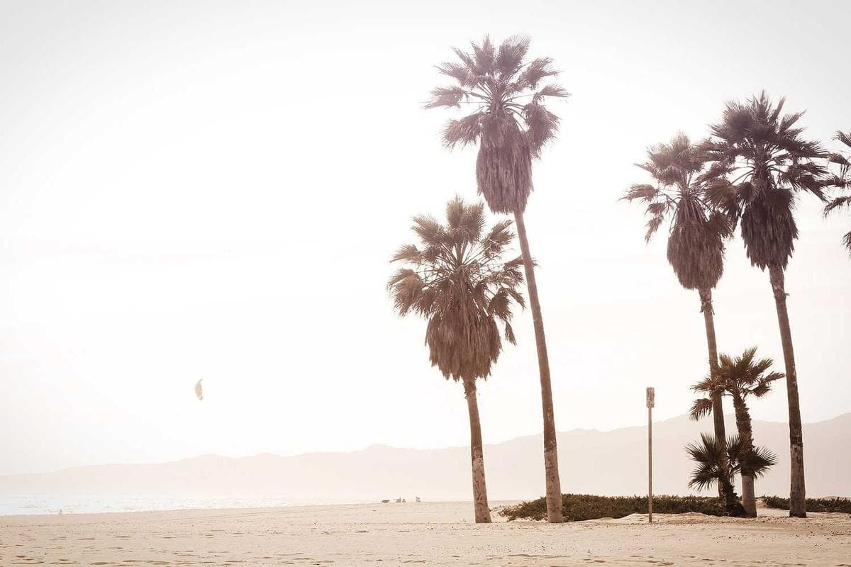 Kiwanja cha Makazi - Tundwi Songani placeholder image