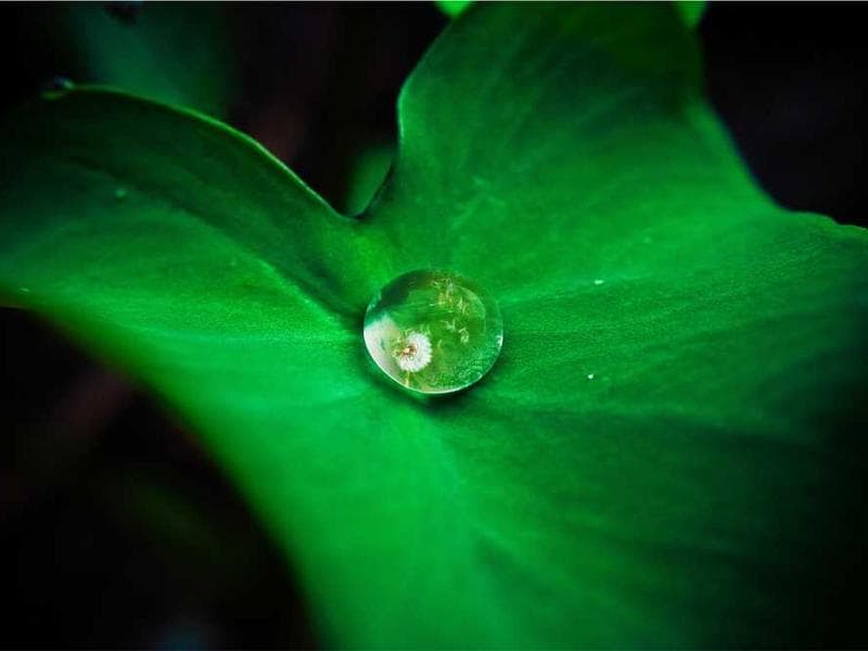 Tafres Real Estate office in Dar es Salaam